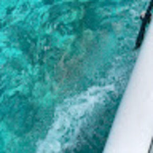 Meet your Posher, Kara